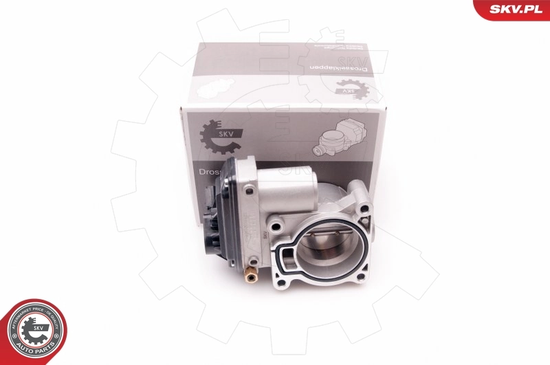 Throttle Body